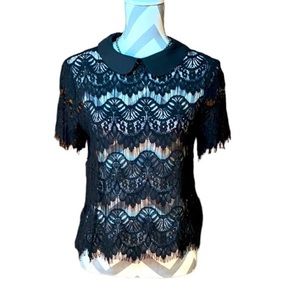 NWT AMAZING THE LIMITED TOP 🖤🦋